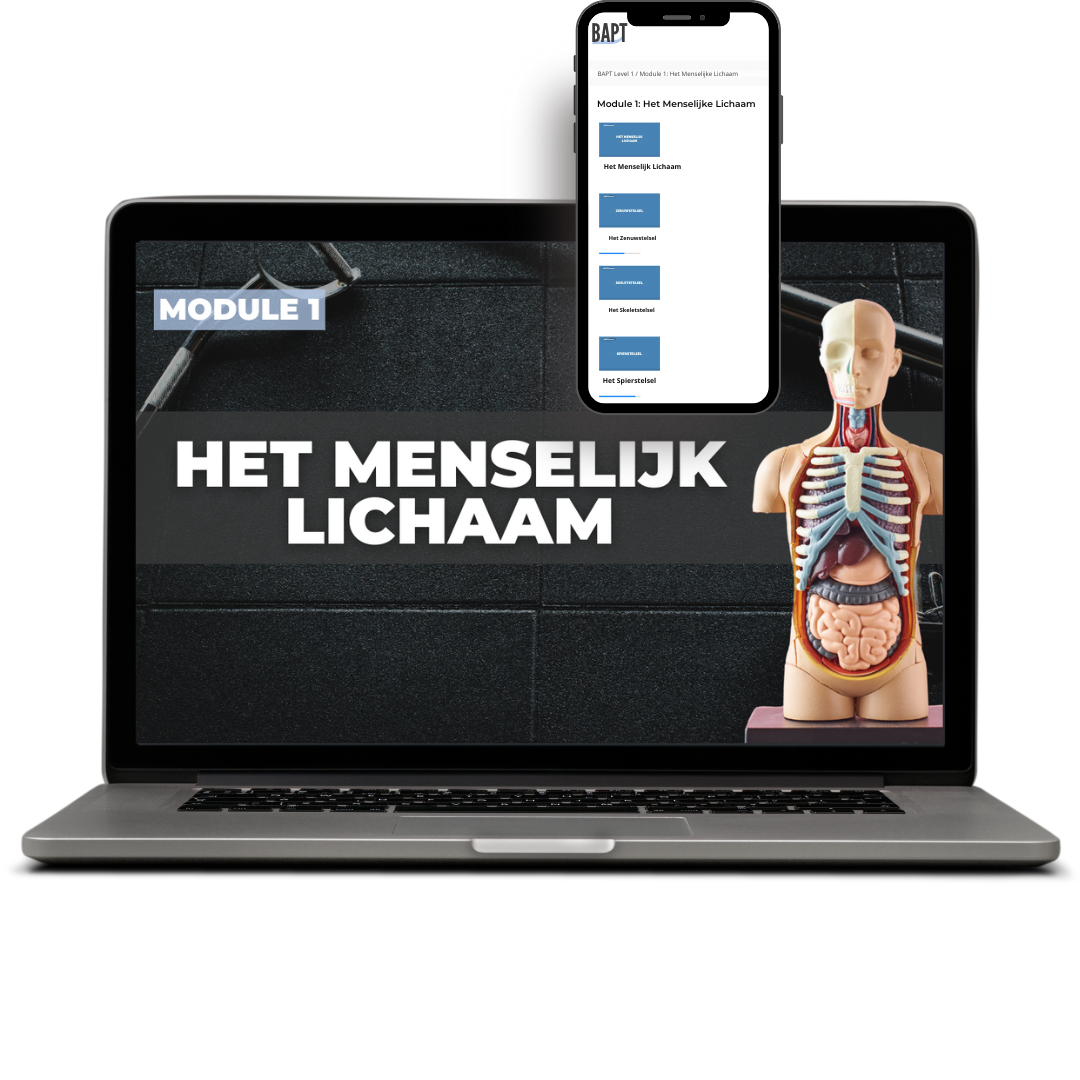 online cursus personal trainer